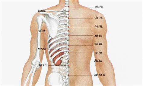 背后痣|后背长痣痣相图解 背上长痣代表什么